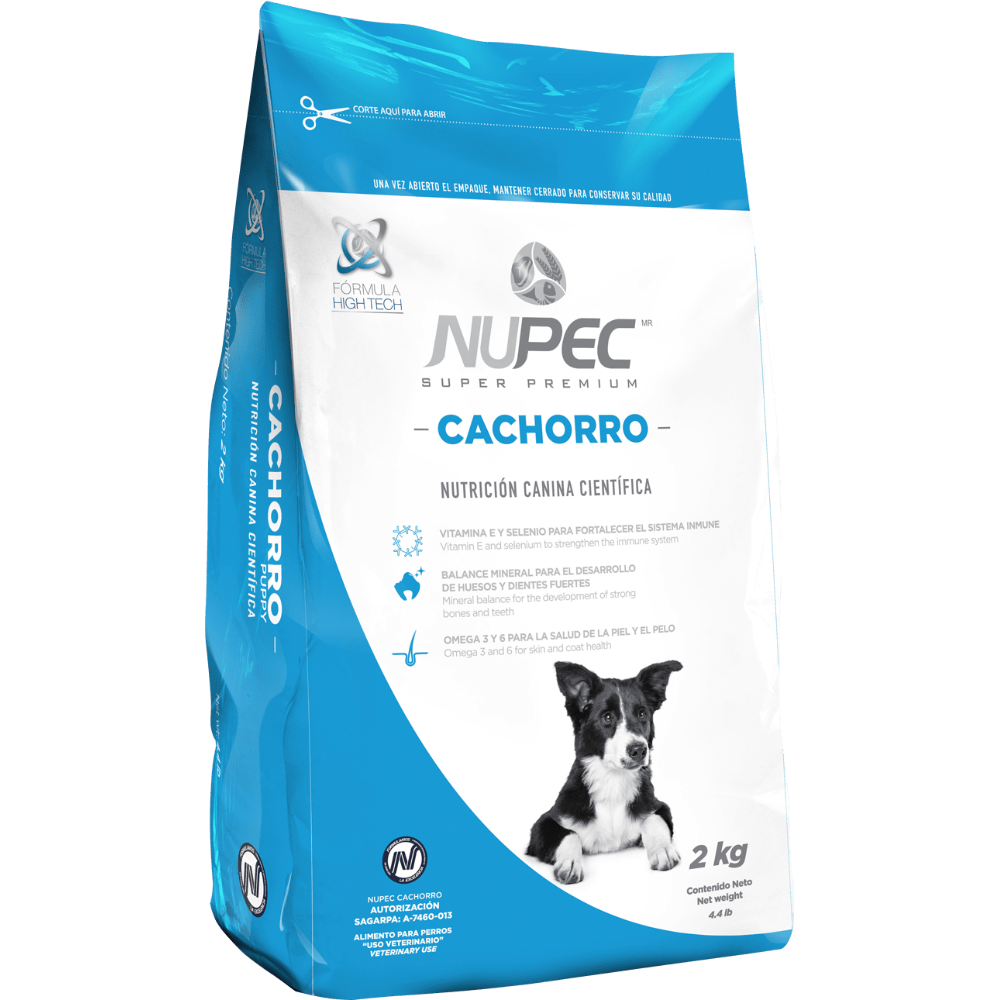 CACHORRO PARA PERRO
